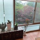 한정애한정식 이미지