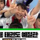 어룡태권도 이미지
