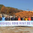효자면 - 5349 | 효자면