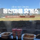 블루25 진성 이미지