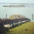 천사로목장 이미지