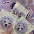 뭉개뭉개인강릉 이미지