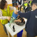 신도림중학교 앞 이미지