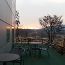 오경덕미술관 Daum카페