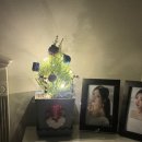 보르미몰 이미지