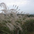 2호선 장산역 7번출구 이미지