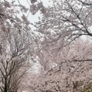 응암공원 이미지