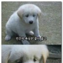 빽다방선릉