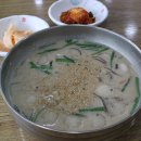 정성만두 이미지