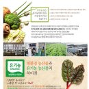 엑스피농장 | 해독주스, 장안농장 유기농 야채스프 '건강하게 다이어트 스타트 하기'