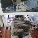 대주마트 이미지