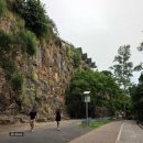 (주)조이버스 | 호주 브리즈번 캥거루 포인트 페리타고 가는 방법 뷰 맛집 조이 JOEY'S