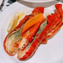 바이킹스워프 광교 내돈내산 후기! 광교맛집 랍스타 뷔페 추천