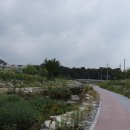 신봉초교 옆