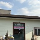 대성농장2호 | [review] 원주식물 주주꽃도매 2호점