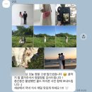 안김 | ⁠[부산 웨딩스냅 안김 후기] 5월 야외 ‘Full B코스’ 촬영! 스튜디오 부기부터 반려견 동반까지 🌿⁠