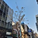 정비아재 | [2024년/3월 일본 나고야 여행] 아재 둘의 나고아재s 투어, 첫째날 2부..