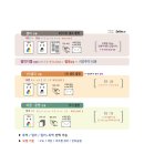 셀피스트