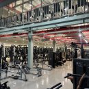 몰리짐 장기점 이미지