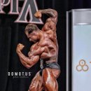 AbleGym