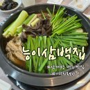 용인 기흥구 시원깔끔한 능이버섯 삼계탕 백숙 맛집 능이삼백집