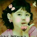 이한 카카오 검색결과