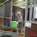 강신성일 카카오 검색결과