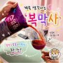황금 | 복막사 비율 이렇게 드셔보세요! 실패 없는 황금비율 후기