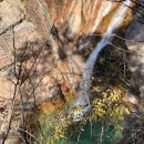 송이용소 이미지