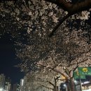 알펜라켄청소년수련원 이미지