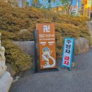 염선생갓김치