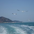 거제대우약국 이미지