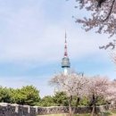 서울 가볼만한곳 서울 여행 코스 남산케이블카 남산타워 전망대 이미지