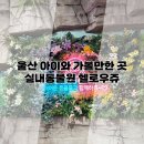 송정 농장 | 울산 북구 송정 실내동물원 헬로우쥬 방문 후기!