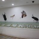 더 시카고 짬뽕 이미지