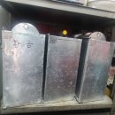 황금반점 이미지