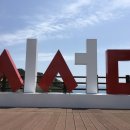 삼척로(맹방유채꽃길) 이미지