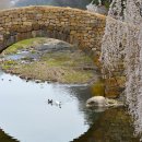 영산 만년교 이미지