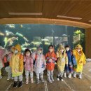 북초등학교 병설유치원 이미지