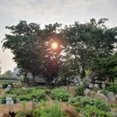 조준호농장 | 호적메이트 김정은 김정민 자매 농장 촬영지 장소 주소 위치 어디? 조준호 조준현 쌍둥이 경기도 고양시...