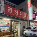 대종로 | 대전 맛집 광천식당 풍자도 또가고 나도 또간집 수육, 양념면 후기