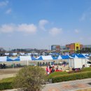 비상초등학교 | 체육대회 이렇게 준비했어요, 현장 경험 공유합니다. 따뜻한봄날 청주비상초등학교 총동문체육대회