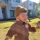 표선생활체육관 이미지