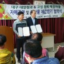 고성청과