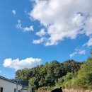 교하운정스카이승마장 이미지