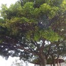 시흥상동로 이미지