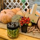 통미농장 | 인천 강화도 아이와 가볼만한곳 추천 실내 농장체험 미타임강화