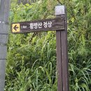 시례농장 Daum카페
