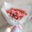 사파동151 이미지