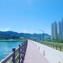 생태 | 경산 남매공원 2020 조각축제